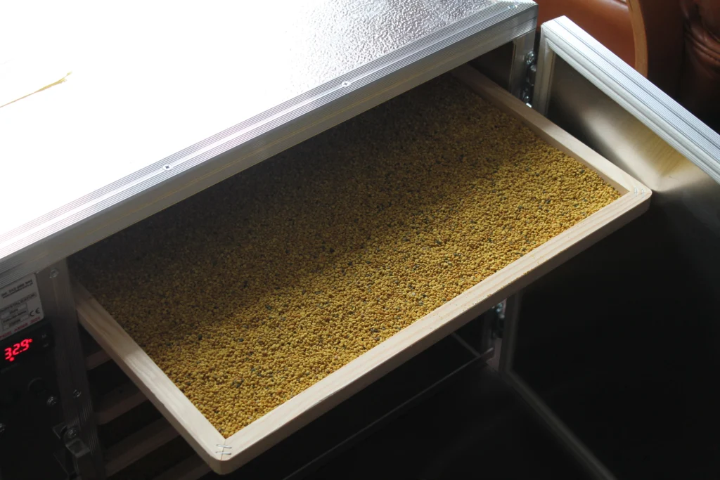 suszenie pyłku pszczelego w dekrystalizatorze